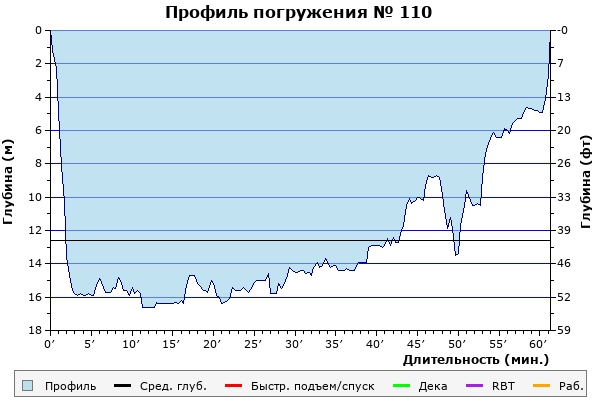 Профиль погружения № 110