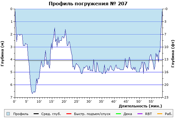 Профиль погружения № 207