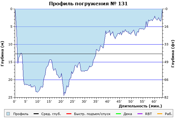 Профиль погружения № 131