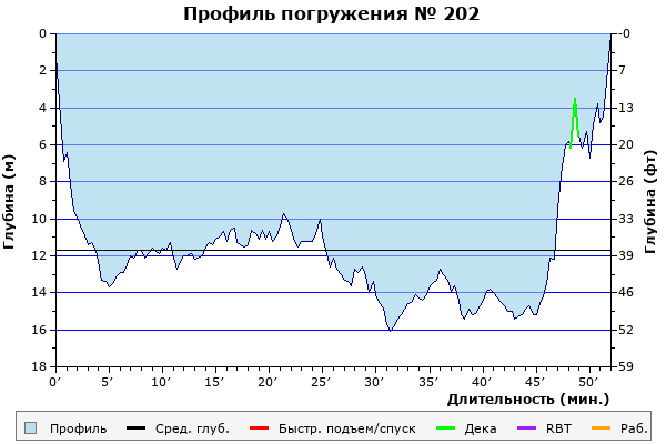 Профиль погружения № 202