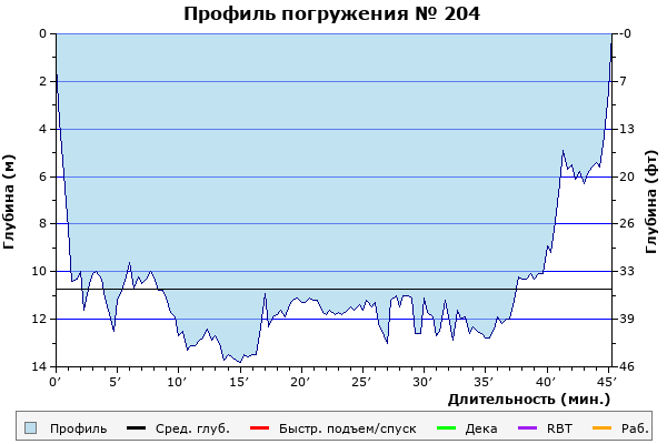 Профиль погружения № 204