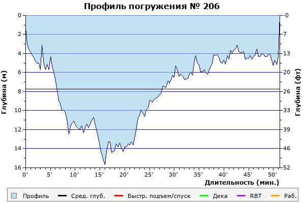 Профиль погружения № 206