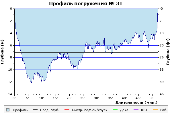 Профиль погружения № 31