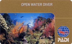 PADI Open Water Diver лиц. сторона